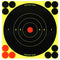 Birchwood Casey Shoot-N-C 6" Targets