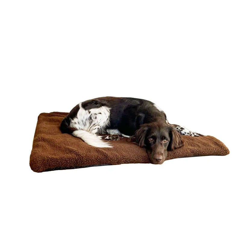 Dog bed 100cm sales x 70cm